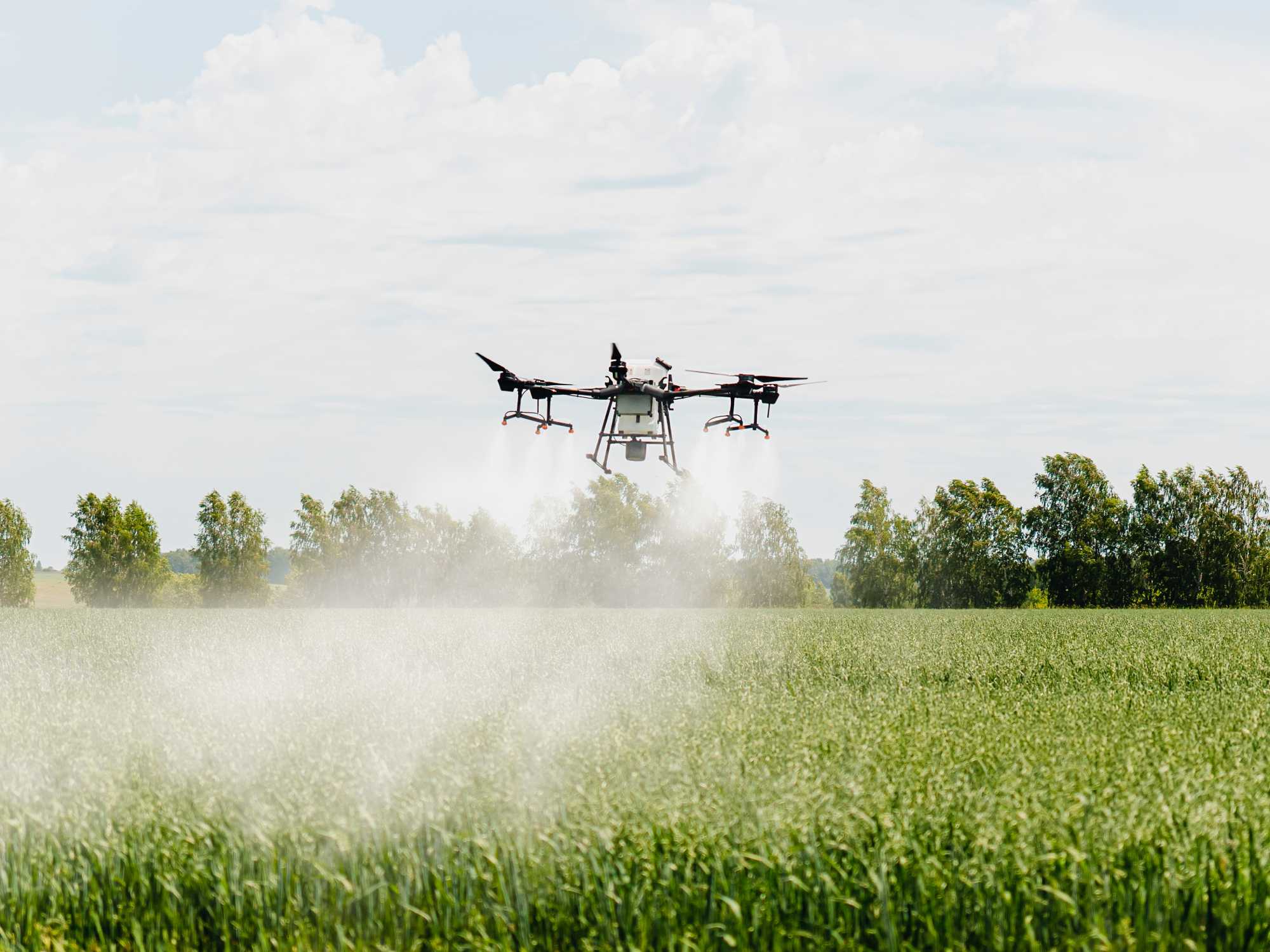 An agricultural drone is flying over a green farm field. The drone is spraying a substance onto the field.
