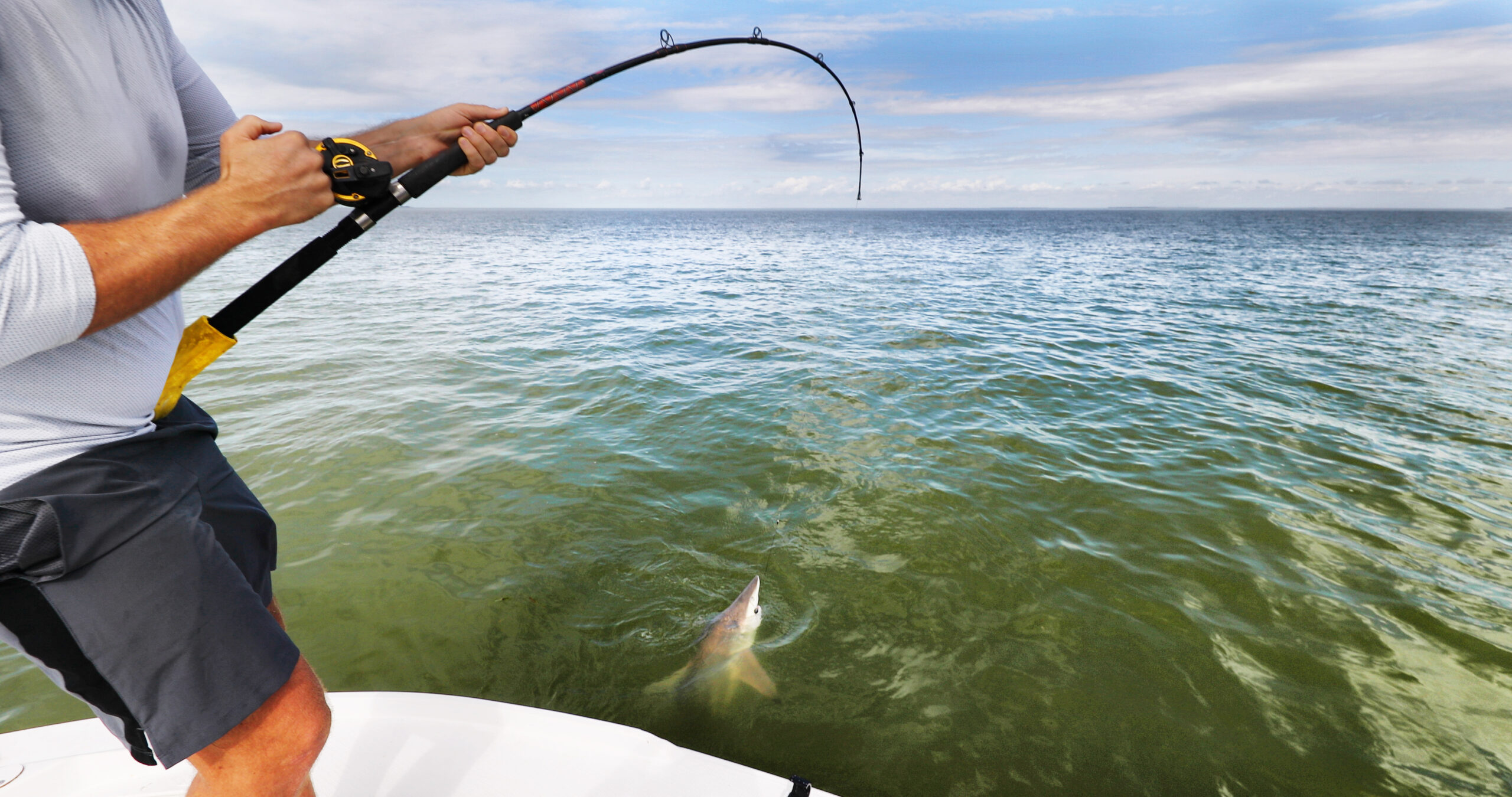 A young and athletic angler participating in offshore fishing from the back of his boat. A small shark is on his line.