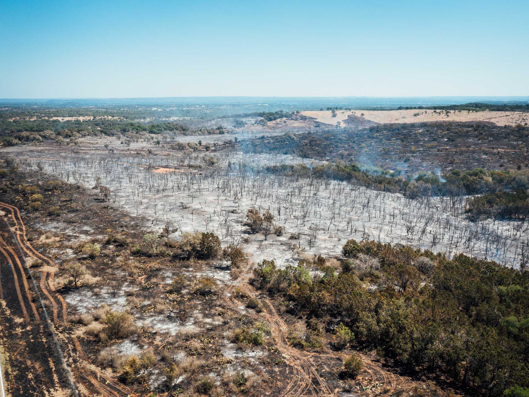 A smoldering and ash-covered landscape with burnt and stunted plant life from the Round Mountain, Texas, wildfire.