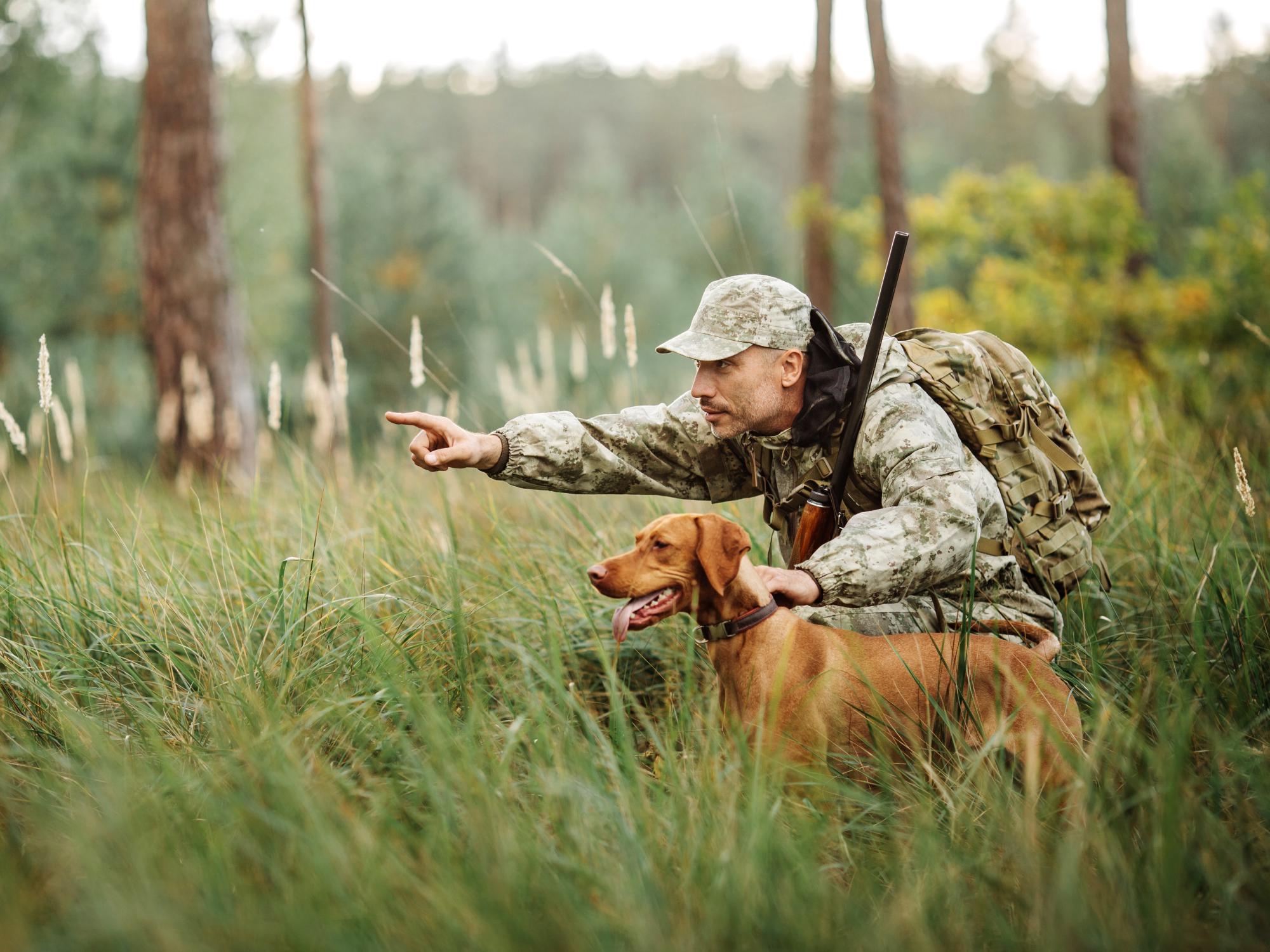 A man wearing camouflage clothes and bending down beside a brown hunting. He points in a western direction.