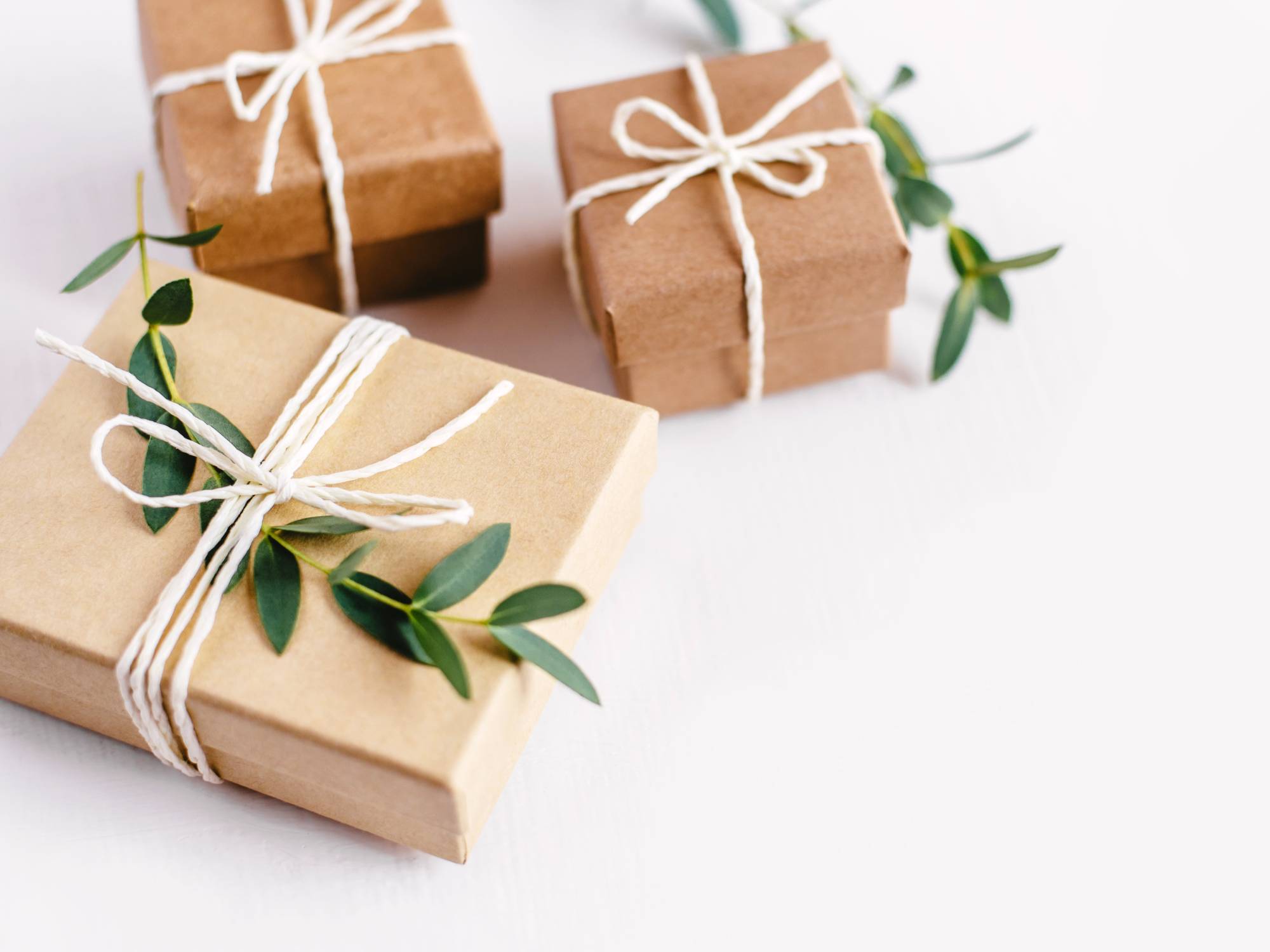 Three small brown gift boxes wrapped with white twine and sprigs of a green plant on a white surface.