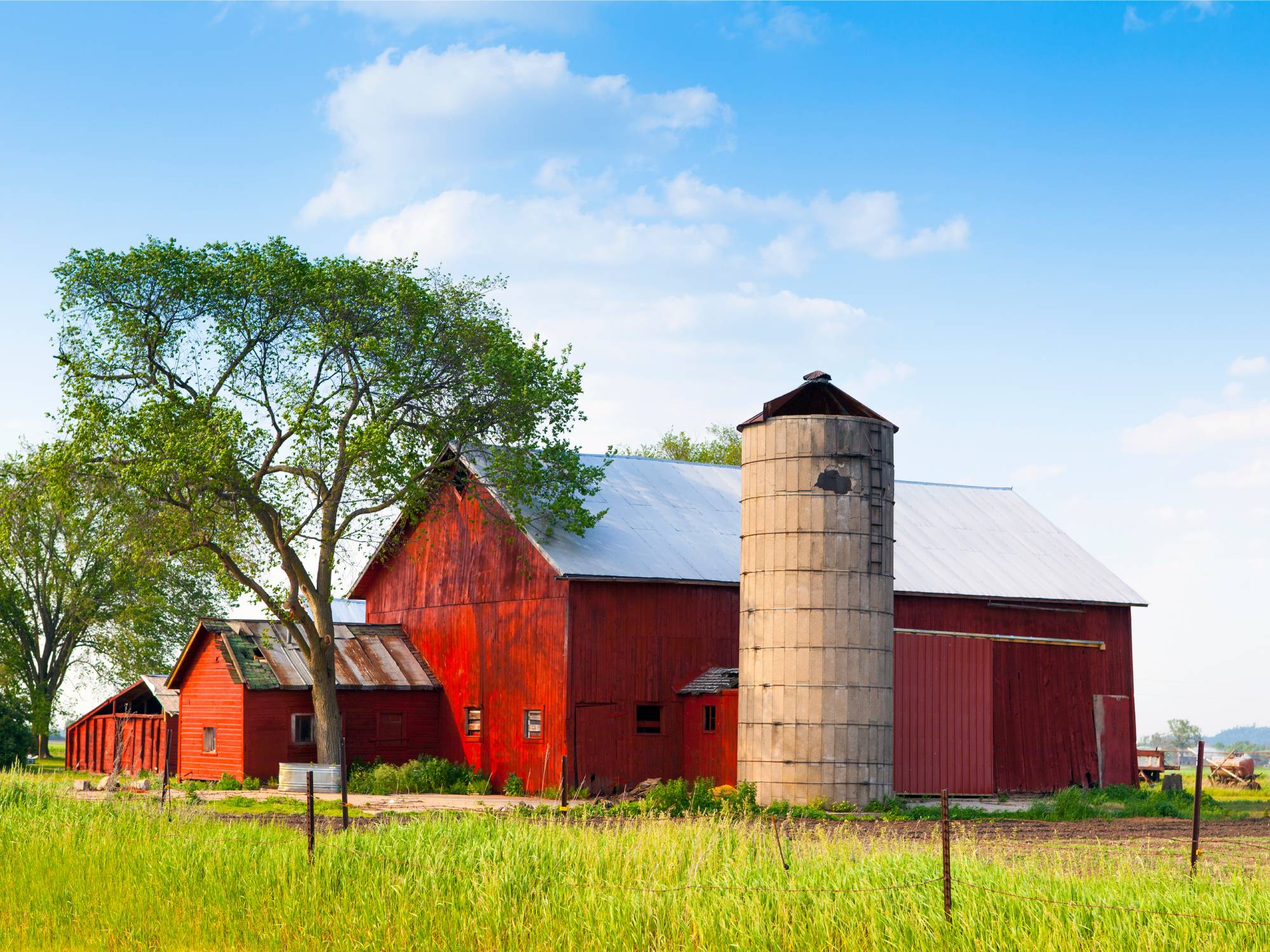 A red barn exterior with a grey silo on a grassy property with a few trees and a blue cloudy sky.