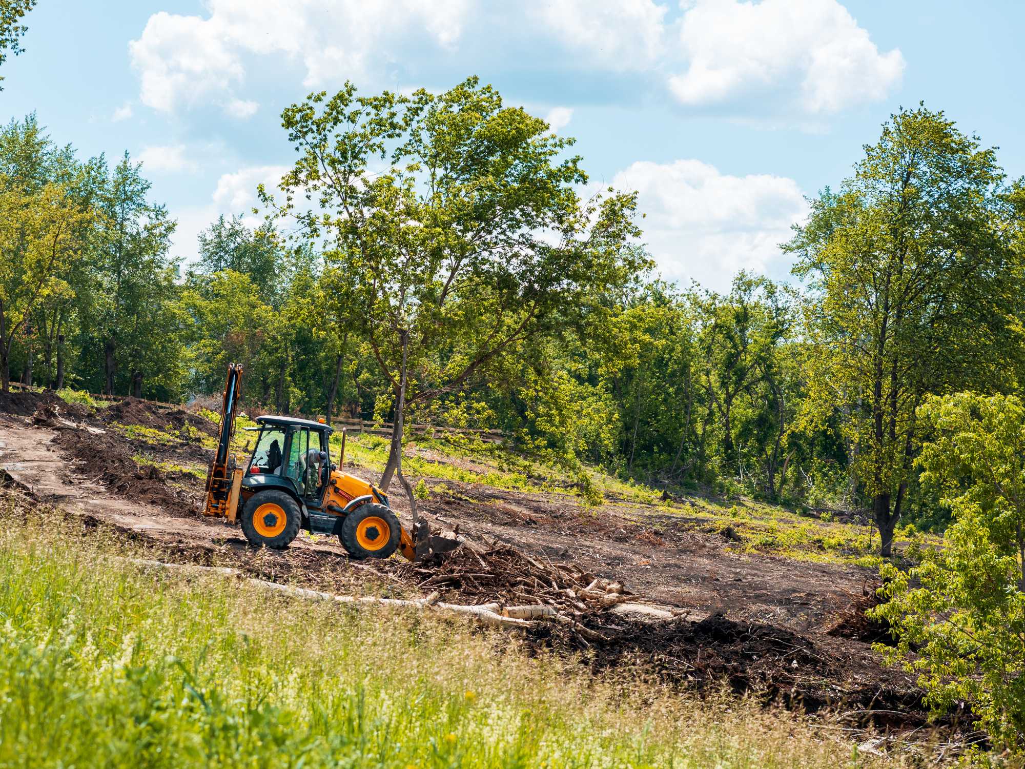 An orange, compact landscaping tractor using a front-mounted attachment to clear the surrounding land.