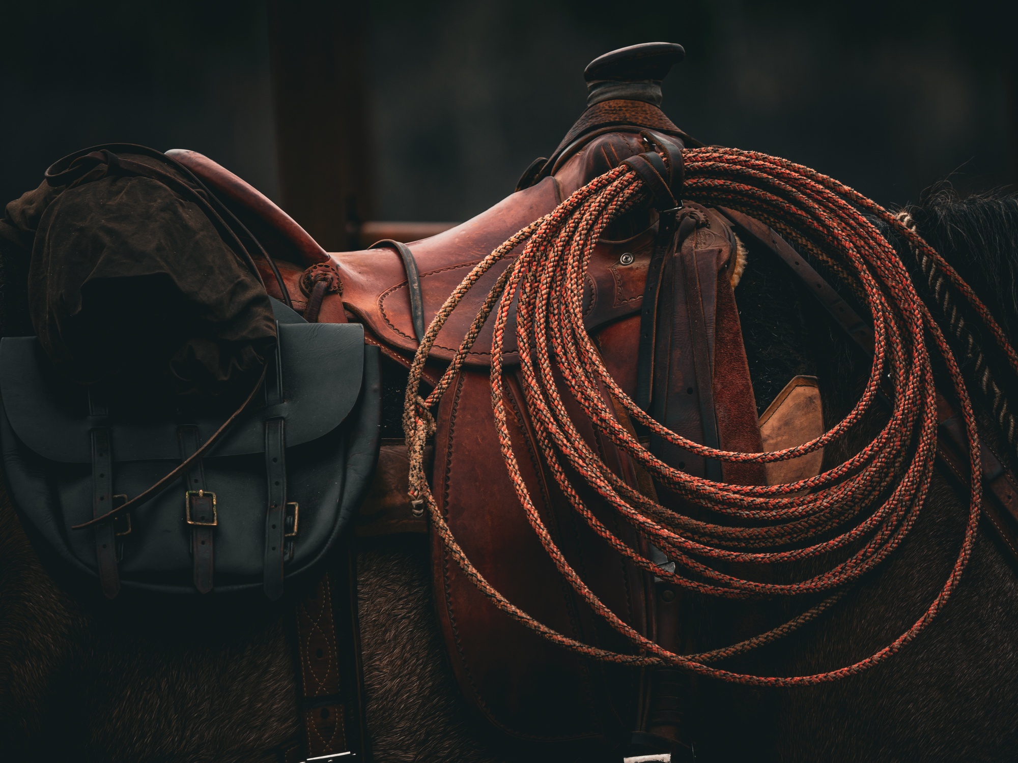 A coiled lariat rope and saddle bag hang on a Western saddle that's on a brown horse. The lariat is not frayed.