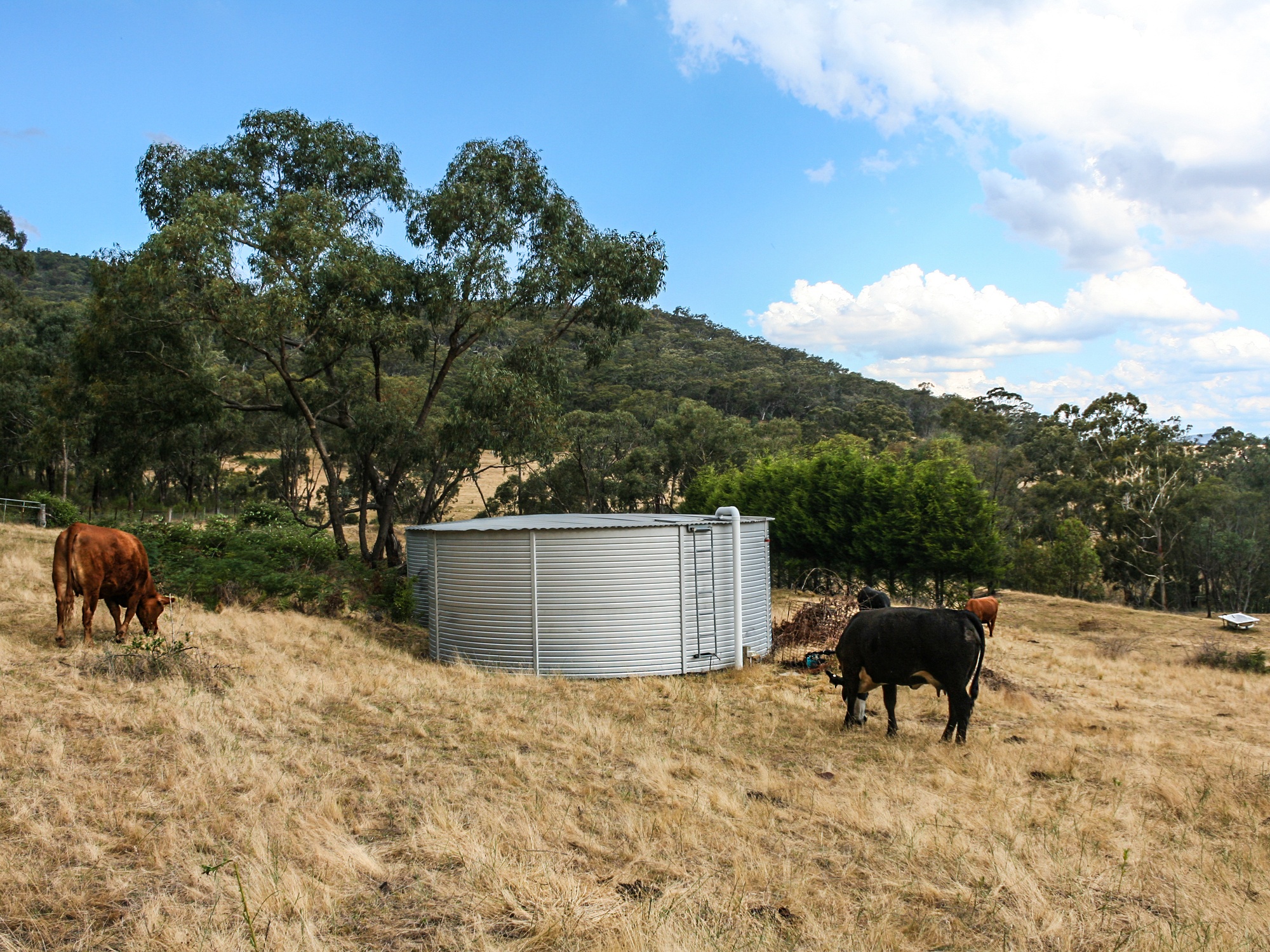 How To Safely Maintain Your Farm’s Water Source