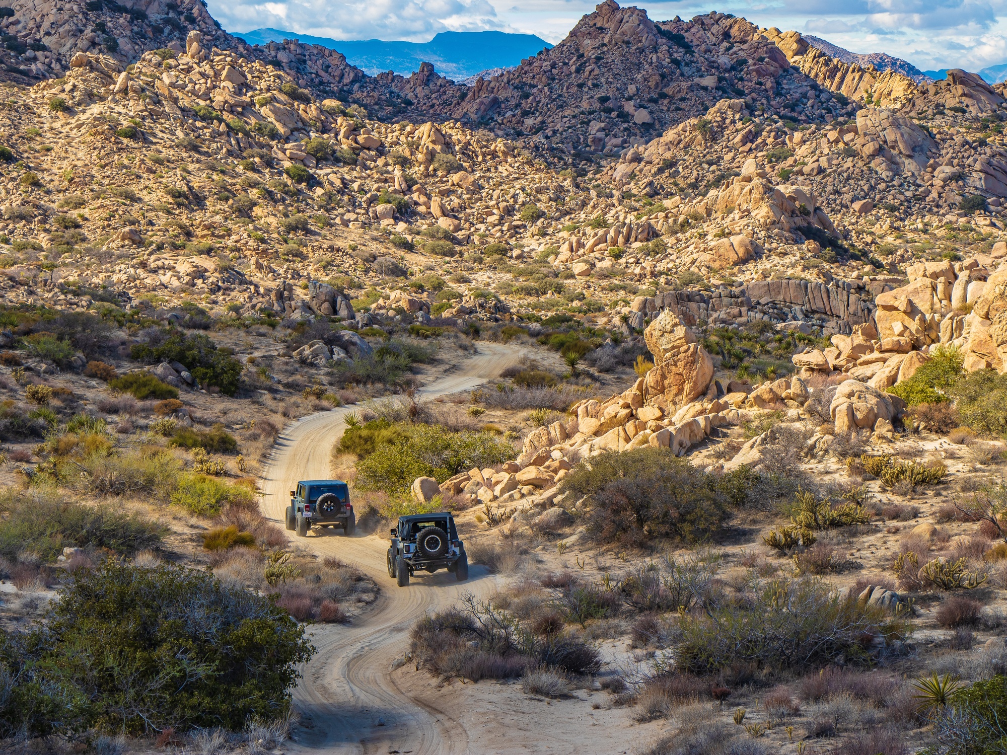 Two off-roading vehicles are driving on a sandy trail that's surrounded by desert foliage and large rocks.