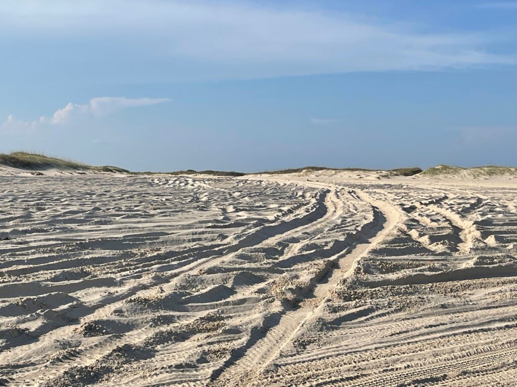 Matagorda Island