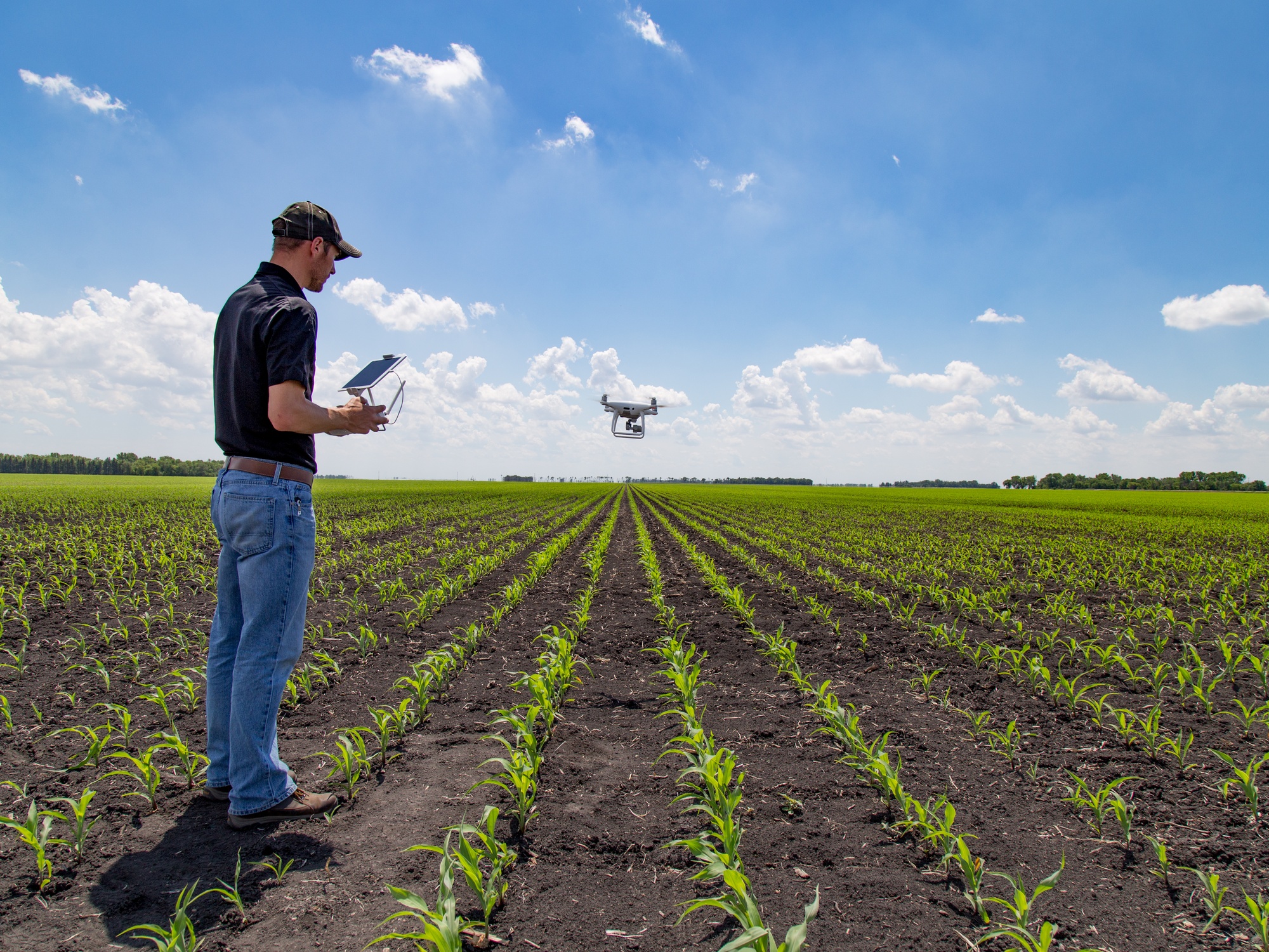 A man stands in a sprouting field holding a drone controller as a drone hovers in the air above the soil-covered ground.
