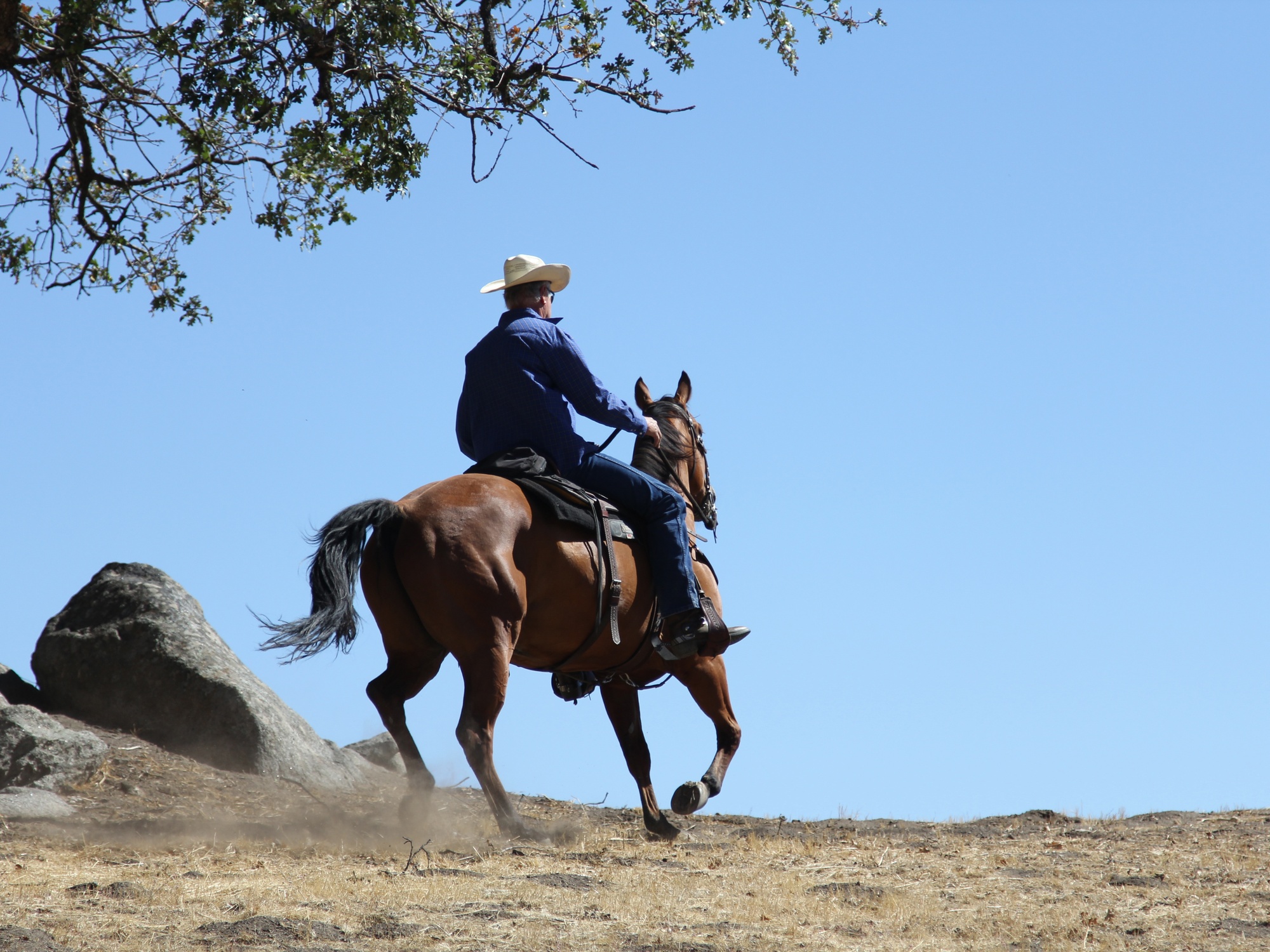 Riding Habits That Keep Your Horses Sound Longer