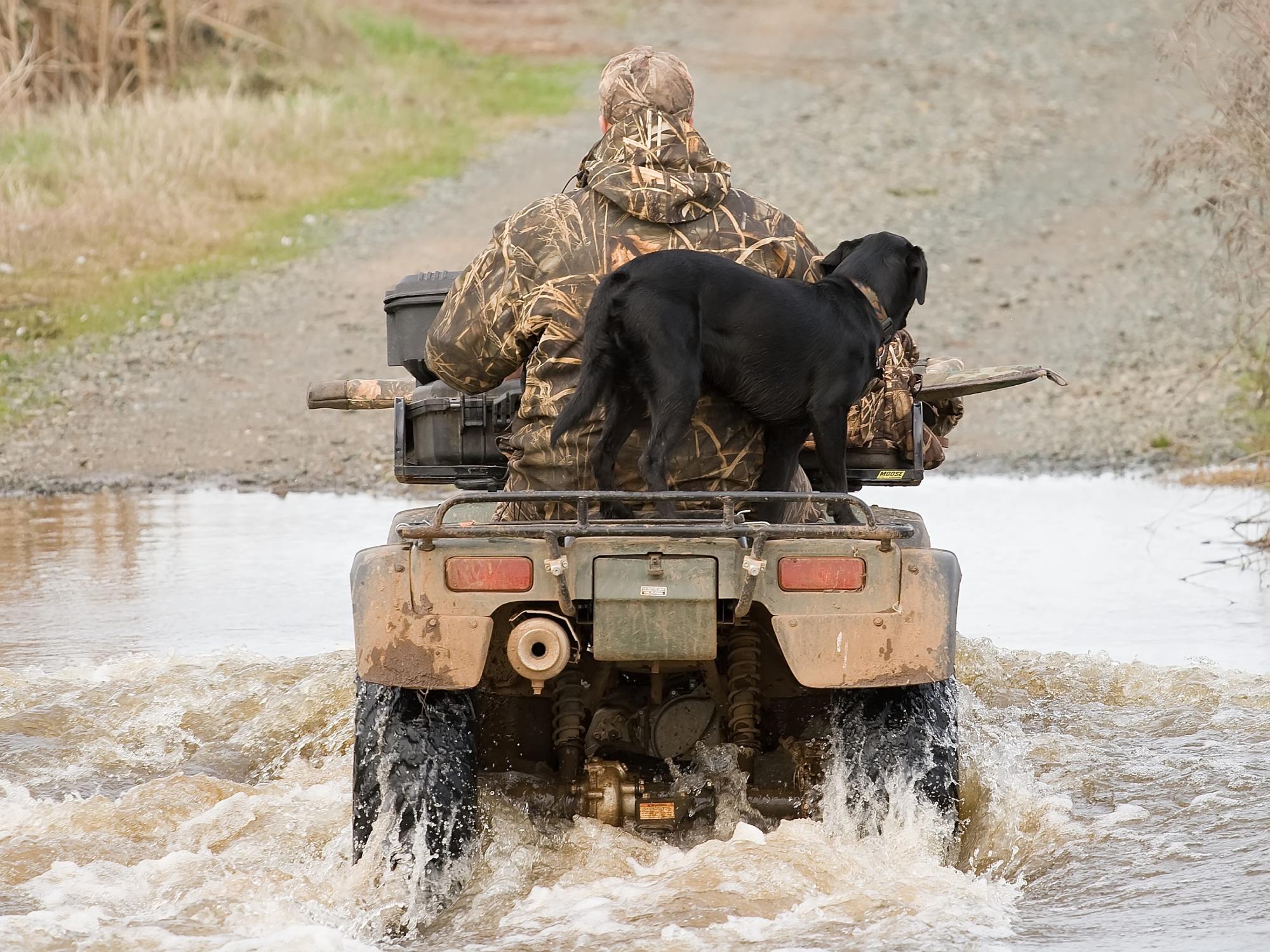Maximize ATV Reliability for Outdoor Pursuits