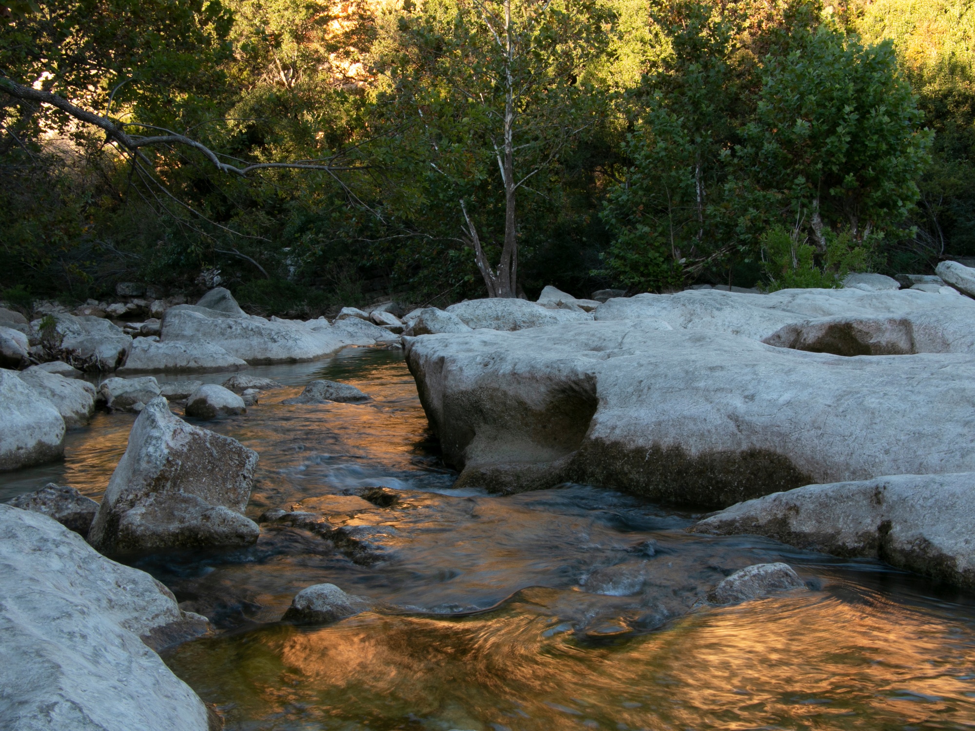 6 Tips for Your First Time Hiking in the Greenbelt