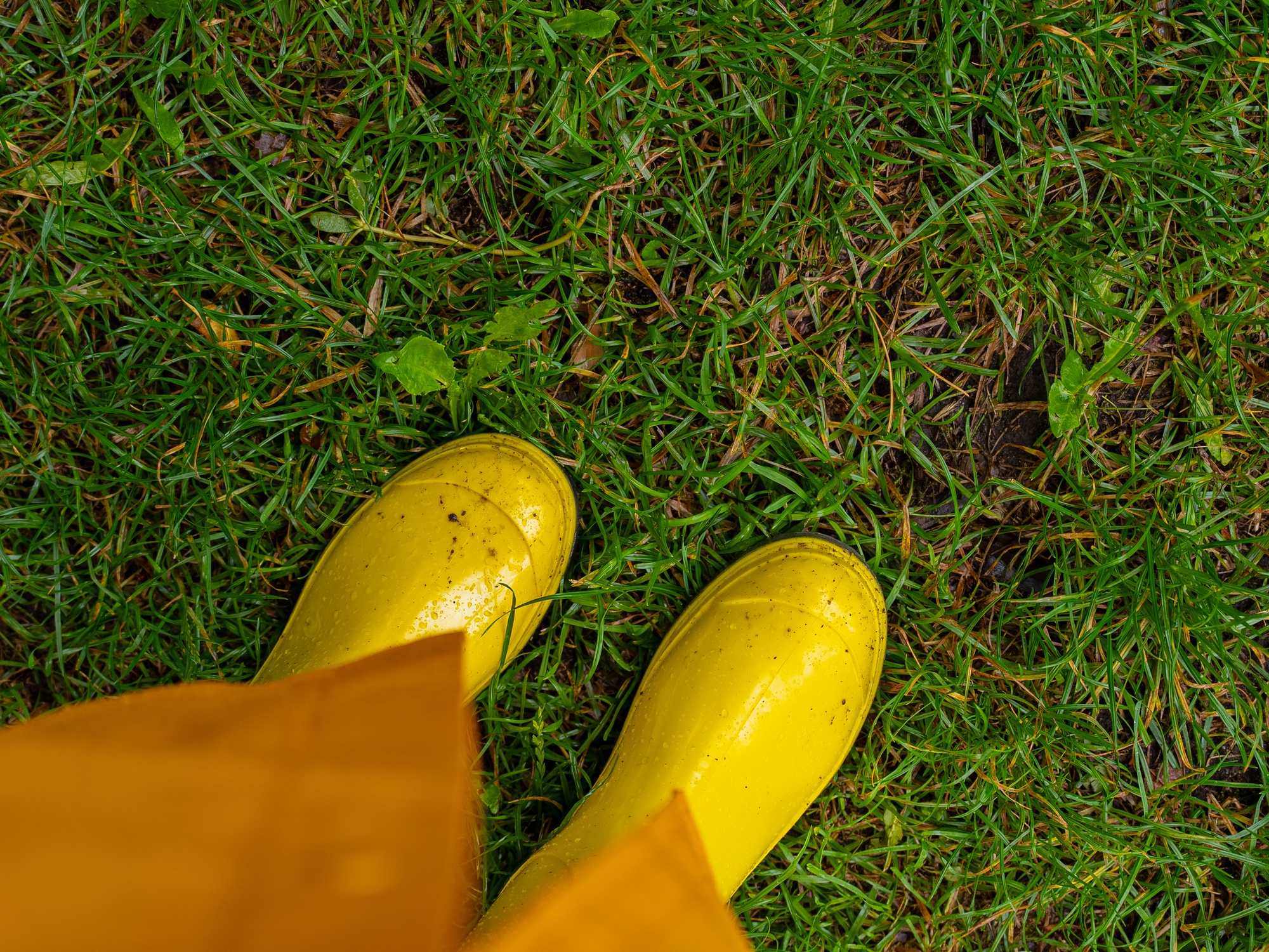 The Best Shoes for Spending Rainy Days Outdoors